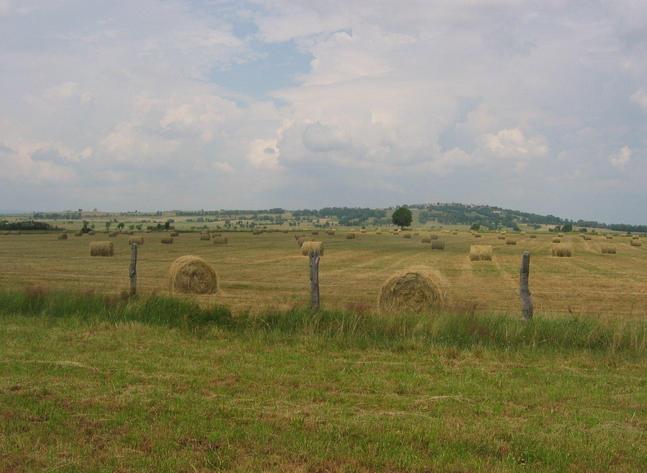 General view of the confluence, its in the field just over the fence.