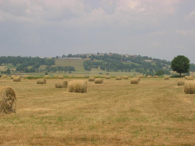 View North to Tanavelle