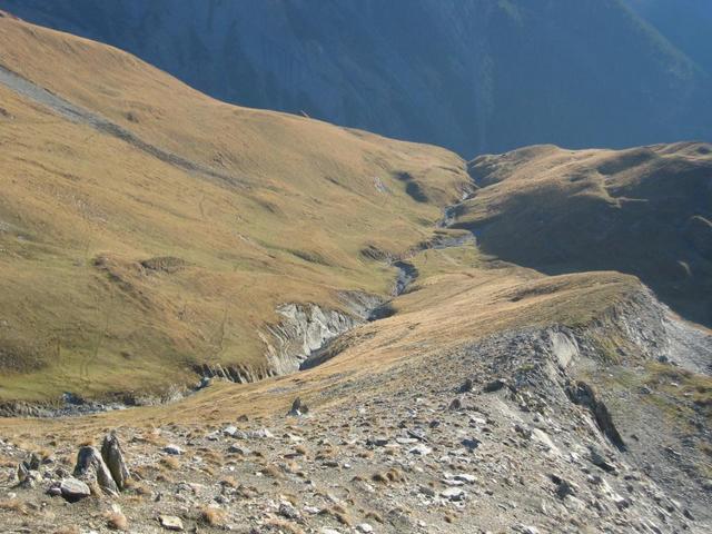 General view of the confluence point, heading South