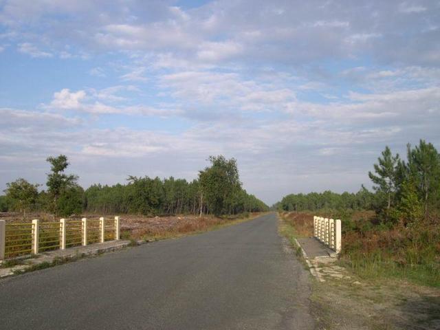 The road and the bridge where we parked