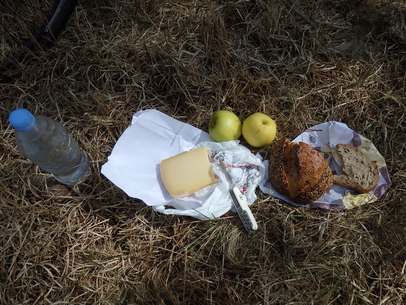 Lunch in the forest