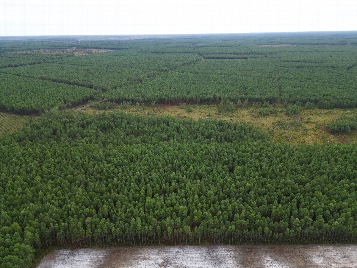 View South, from 120m above the point