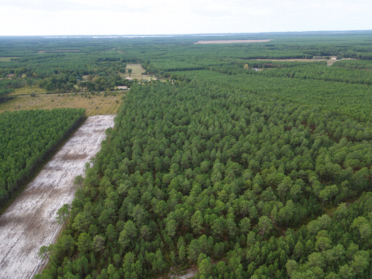 View West, from 120m above the point