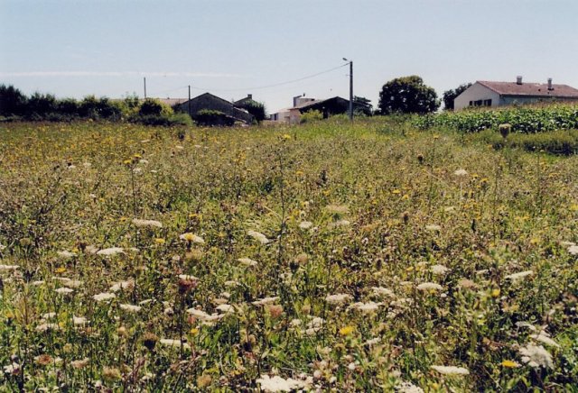 The commune La Charriere, 400 meters east of the confluence.