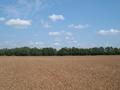 #3: From confluence point, looking east