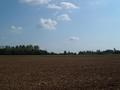 #4: From confluence point, looking south