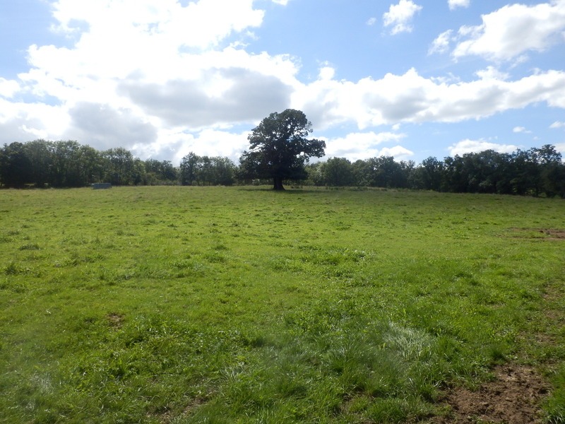 The Confluence from 35 m Distance