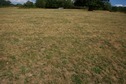 #5: The confluence point lies in a farm field (where cattle have been grazing)