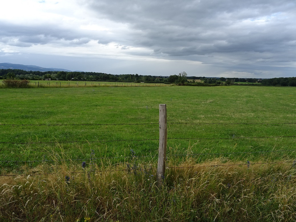 North view from the road shoulder. The CP is 25 m ahead.