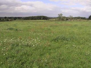 #1: This is a general view in northerly direction, taken from the nearby road.