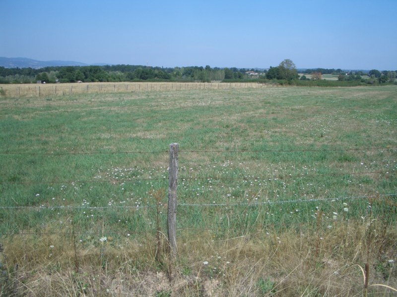 The confluence of 46° North and 4° East at 26 m 