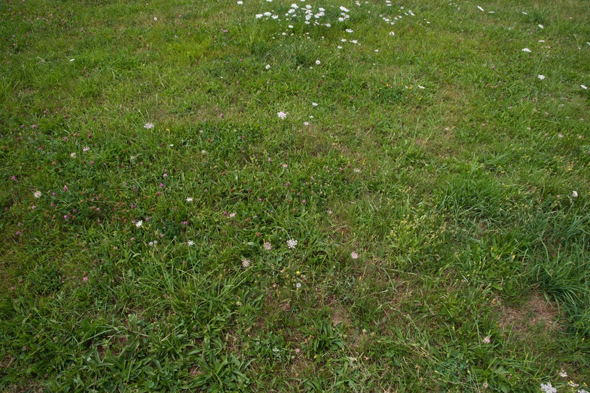 The confluence point lies in a fallow farm field, 30m north of a road