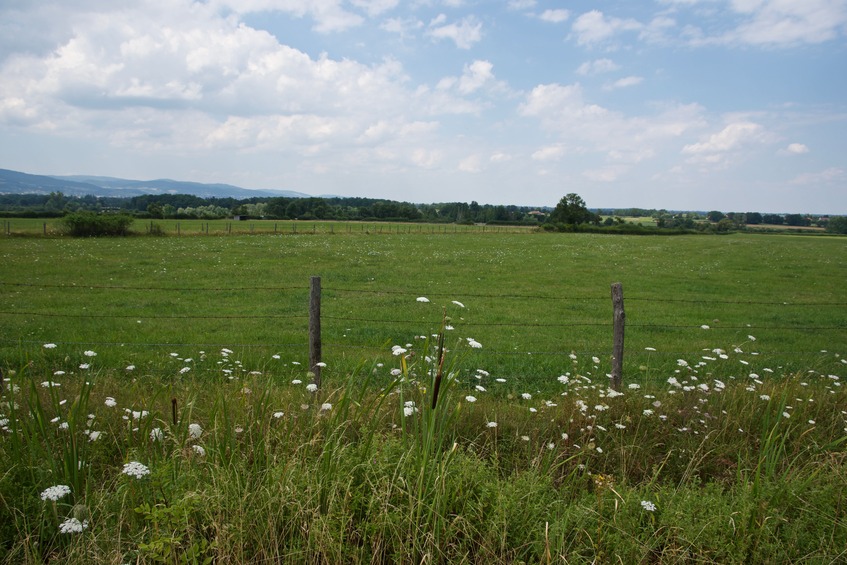 Looking towards the point from the road, 30 m away