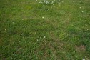 #5: The confluence point lies in a fallow farm field, 30m north of a road