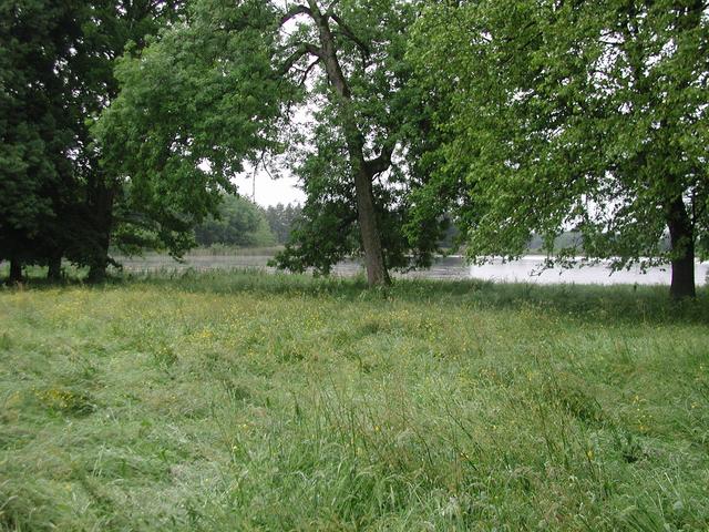 Blick zum See / View to the lake