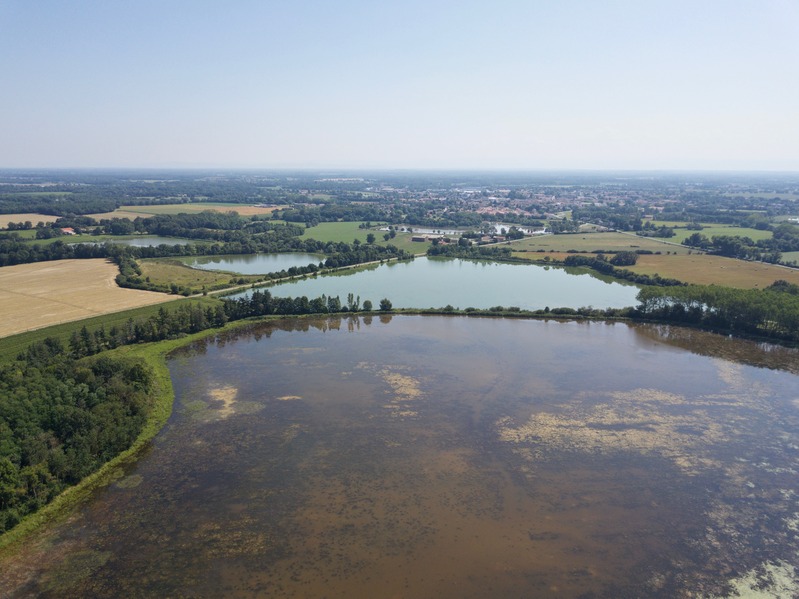 View East (towards the village of Villars-les-Dombes), from 100 m above the point