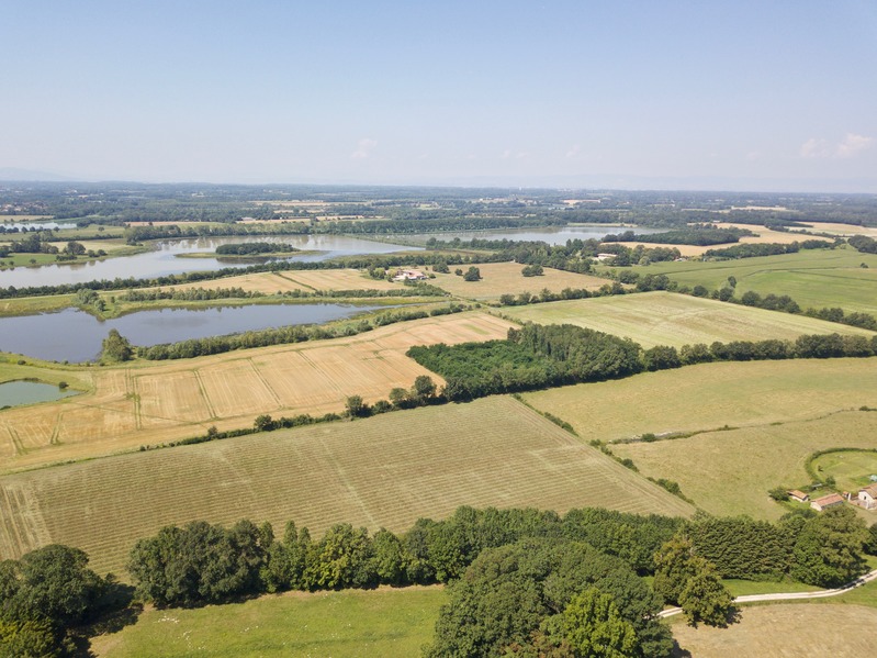 View West, from 100 m above the point