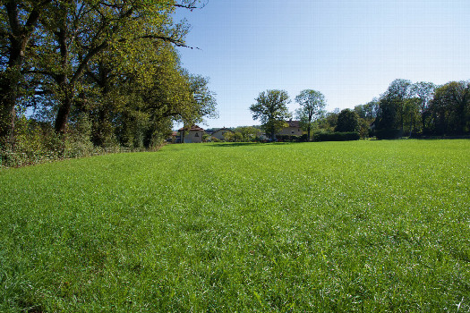 #1: The confluence point lies in a grass-covered farm field.   (This is also a view to the South, towards a nearby residence.)