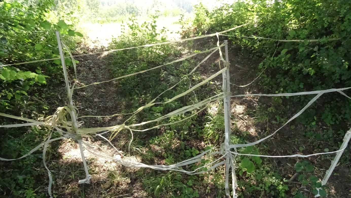 Access to the pasture - the gate