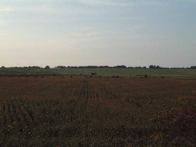 View outside of the field