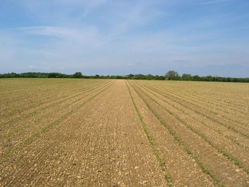 View to the North