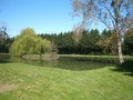 #10: Picnic pond