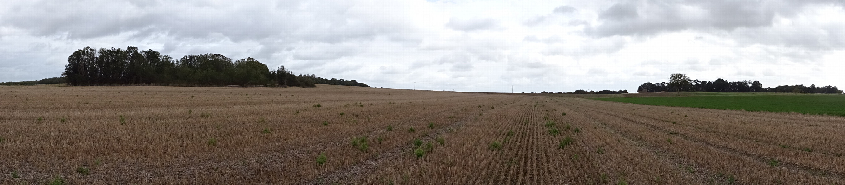 Panoramic view from the road