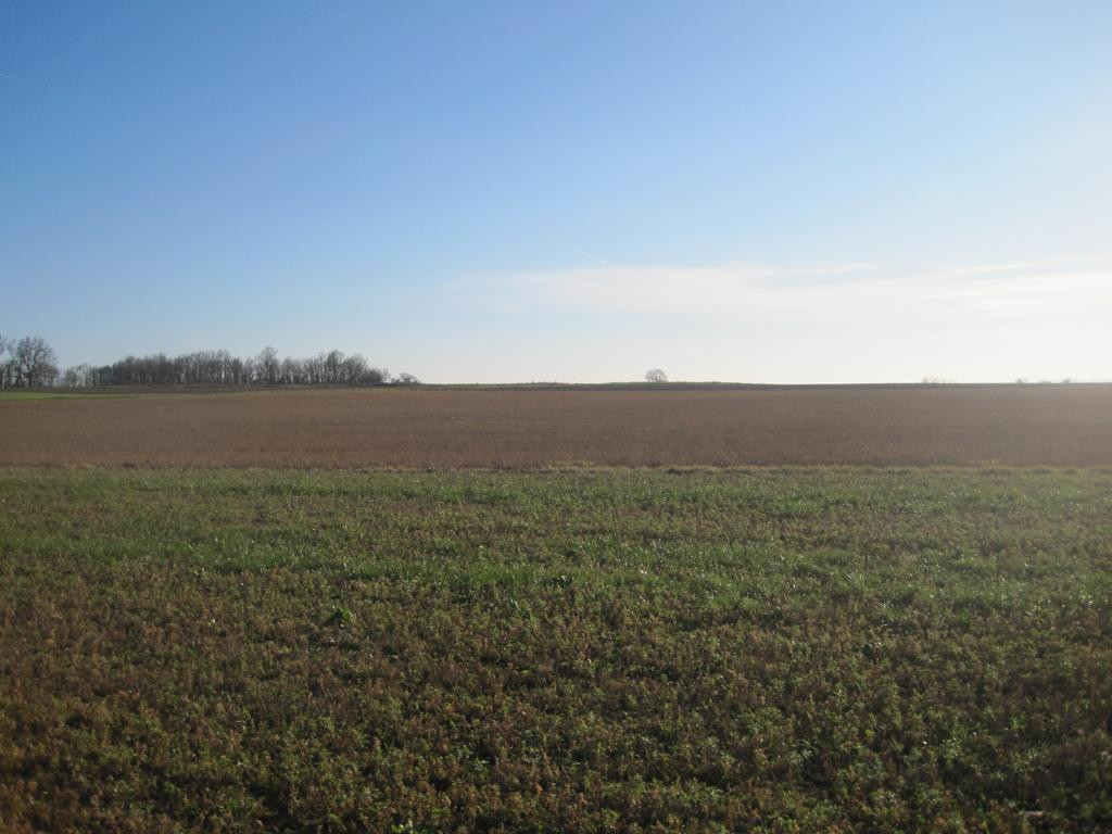 Süden; view south