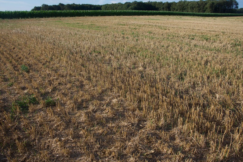 The confluence point lies in a bare farm field, just 50m East of a road