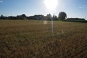 #4: View West (into the late-afternoon Sun, towards "Les Loges")