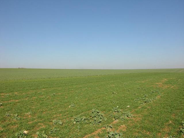 View in southern direction / Blick nach Süden