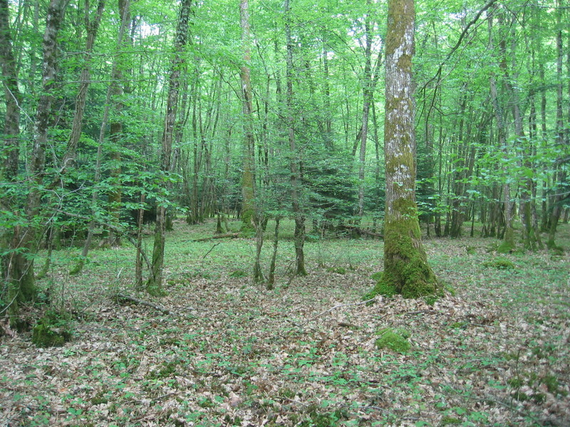 The Confluence - View to the South