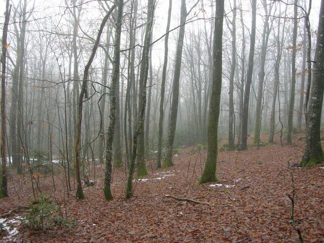 View in southern direction / Blick in südliche Richtung