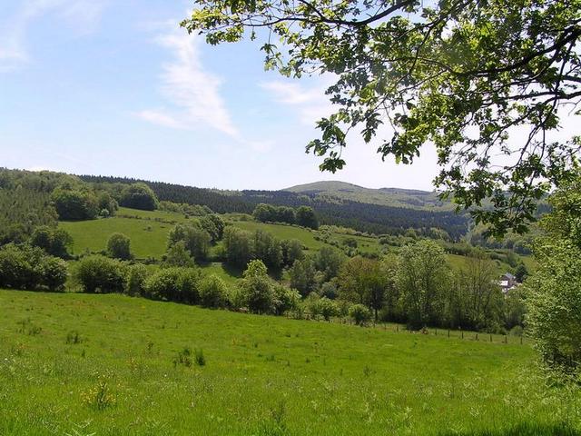 Out of the forest: view in the Morvan