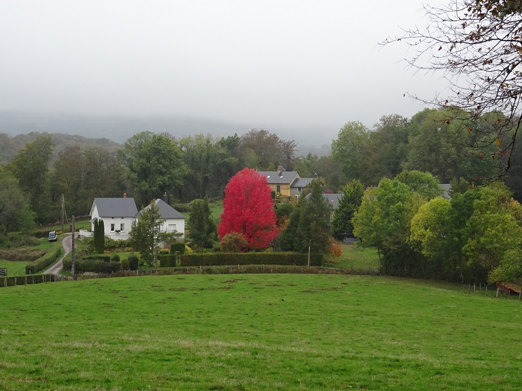 Burning tree in Le Chatelet