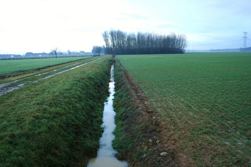 Drainage around the field