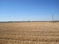 #3: Süden; view south