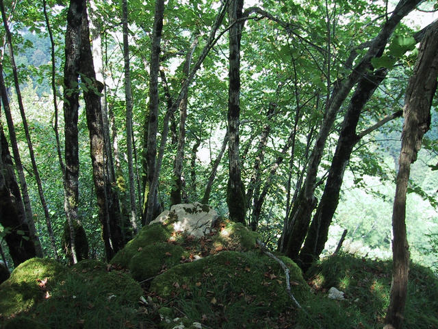 View of the confluence point looking north east