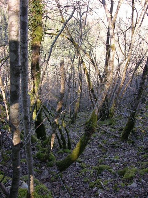 View to the confluence point / Blick zum Confluence Punkt