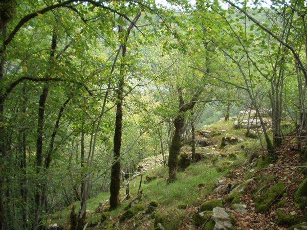 To the north (toward the point of view of the Lison valley)