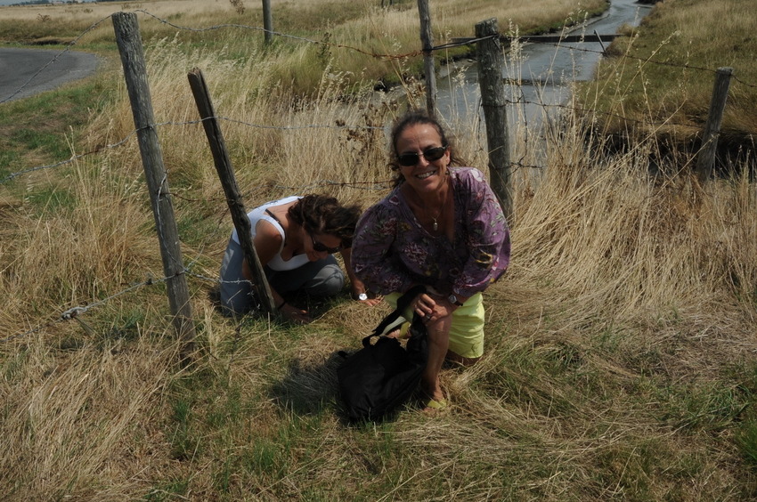 Getting into the confluence field on hands and knees