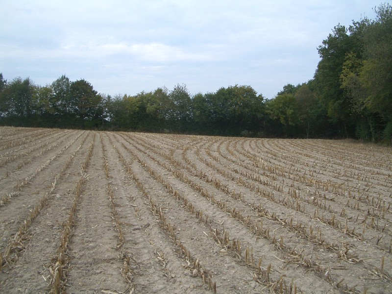 Looking West-North-West to the confluence of 48° North and 01° East