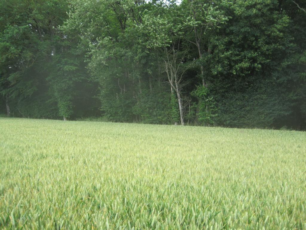 Norden; view north