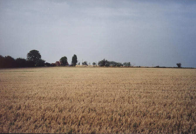 General view of the confluence.