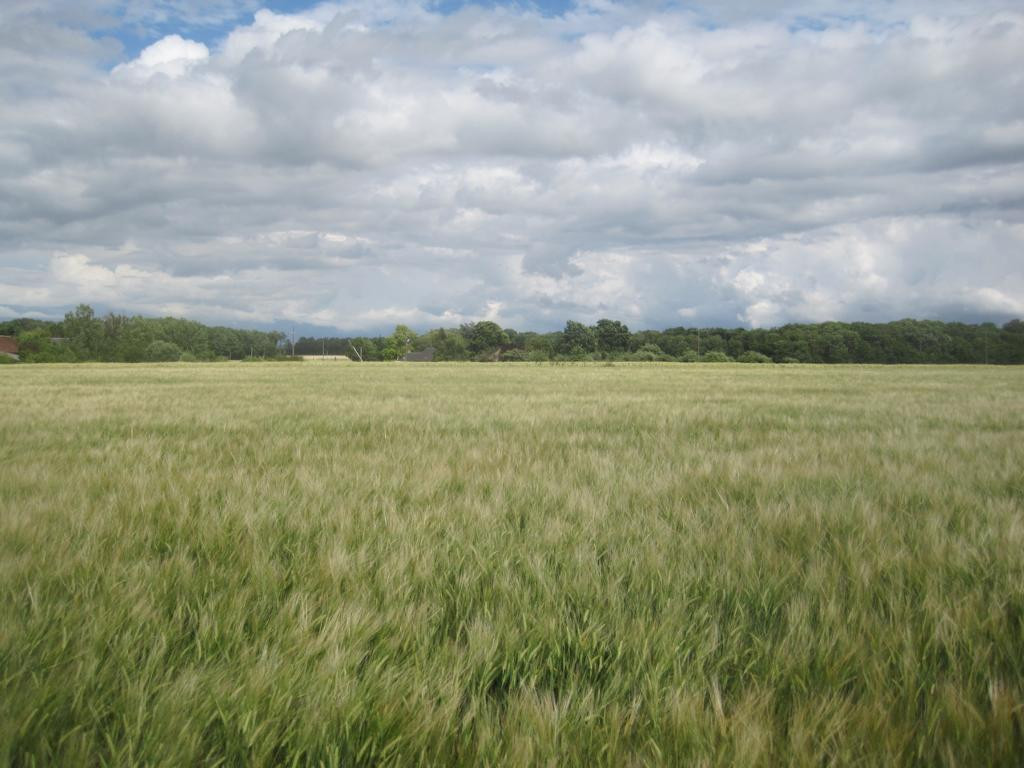 Osten; view east