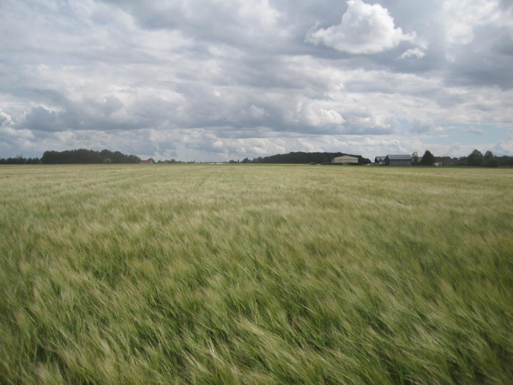 Süden; view south