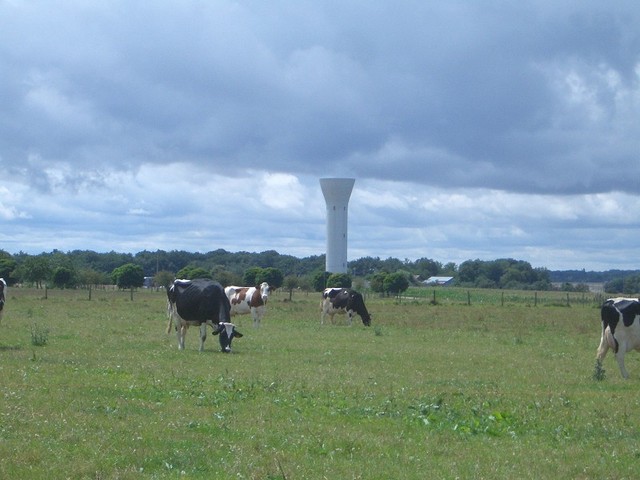 Water tower