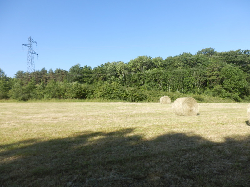 View to the West (from 55 m)