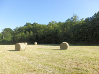 #1: The Confluence from 75 m