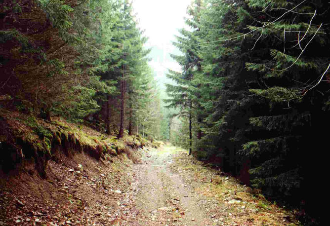 upper track about 10m above the point, view down to the road